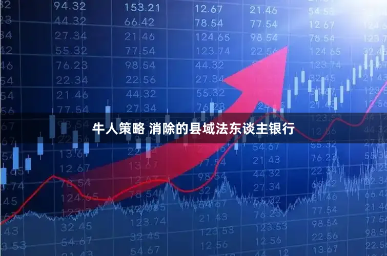 牛人策略 消除的县域法东谈主银行
