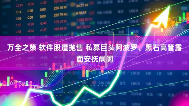 万全之策 软件股遭抛售 私募巨头阿波罗、黑石高管露面安抚阛阓