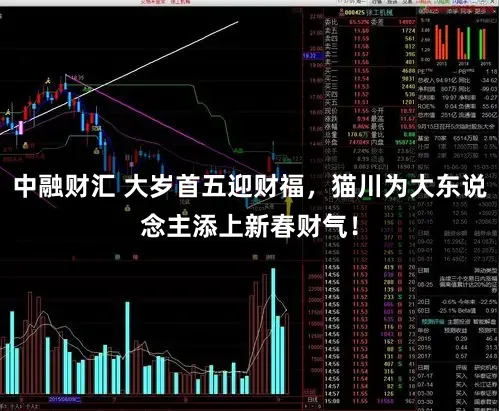 中融财汇 大岁首五迎财福，猫川为大东说念主添上新春财气！