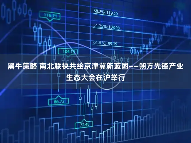 黑牛策略 南北联袂共绘京津冀新蓝图——朔方先锋产业生态大会在沪举行