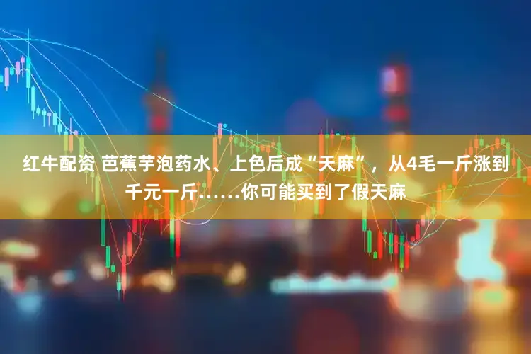 红牛配资 芭蕉芋泡药水、上色后成“天麻”，从4毛一斤涨到千元一斤……你可能买到了假天麻