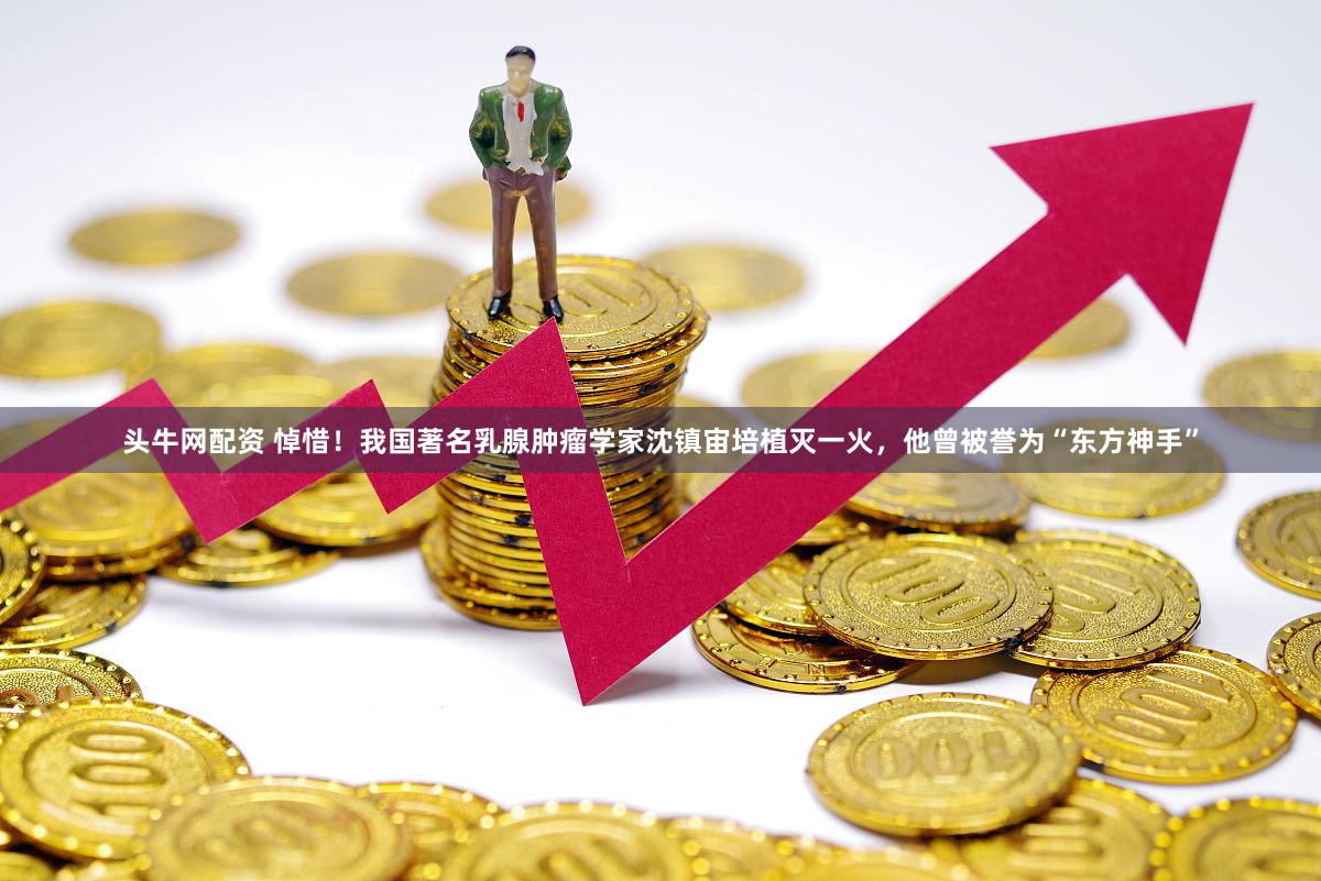 头牛网配资 悼惜！我国著名乳腺肿瘤学家沈镇宙培植灭一火，他曾被誉为“东方神手”