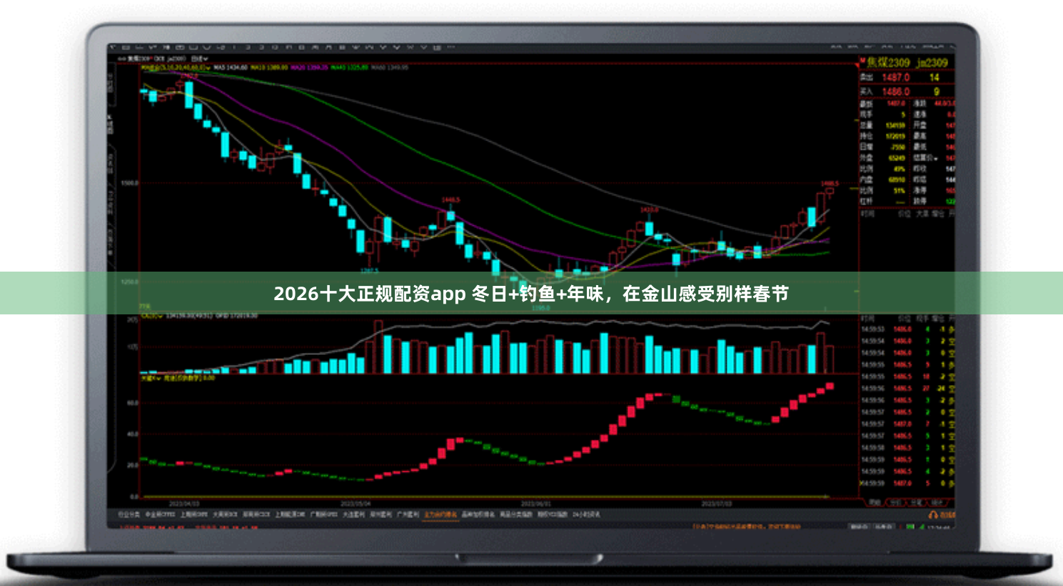 2026十大正规配资app 冬日+钓鱼+年味，在金山感受别样春节