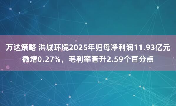 万达策略 洪城环境2025年归母净利润11.93亿元微增0.27%,毛利率晋升2.59个百分点